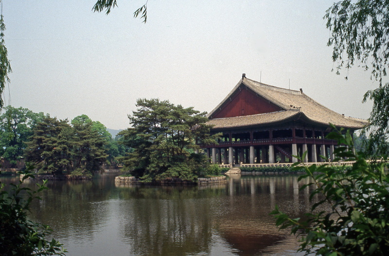 tree, building exterior, water, 4K, korea, gyeongbokgung, waterfront, sky, belief, reflection, built structure, outdoors, day, lake, no people, nature