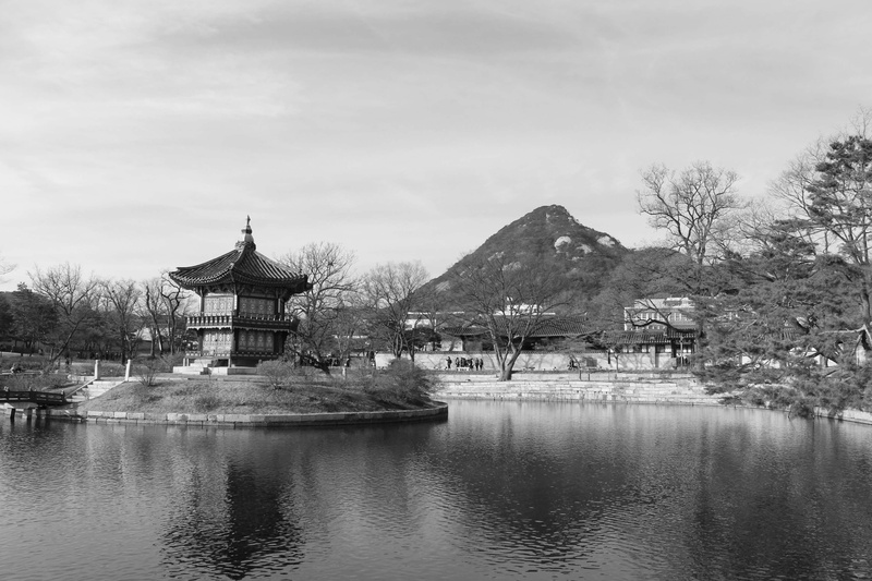 plant, gazebo, day, tree, outdoors, architecture, water, religion, lake, no people, nature, winter, sky, waterfront, gyeongbokgung, building, building exterior
