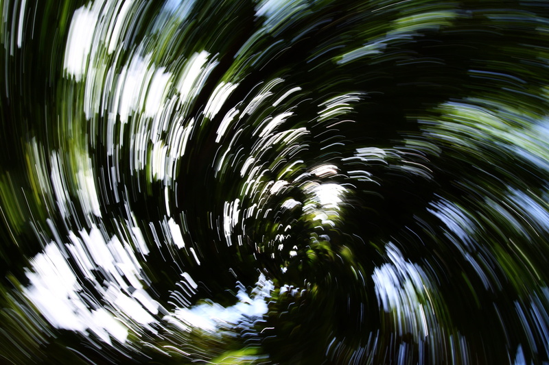 4K, pattern, backgrounds, green color, blurred motion, no people, close-up, long exposure, concentric, beauty in nature, palm leaf, philippines, plant