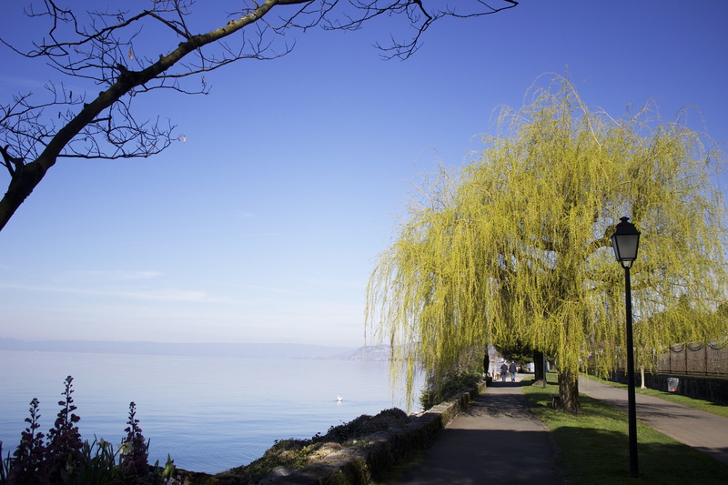 horizon, blue, swiss, clear sky, lake, europe, walk, nature, horizon over water, water, lighting equipment, tree, majestic, street, 5K, beauty in nature