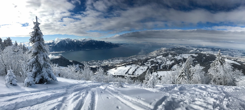 Alps, trees, snow, Switzerland, Lake Geneva, winter, Montreux, 2K, panorama, mountains, lake