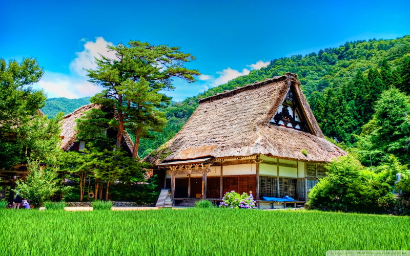 1920x1200, house, nature, 1080P, shirakawago