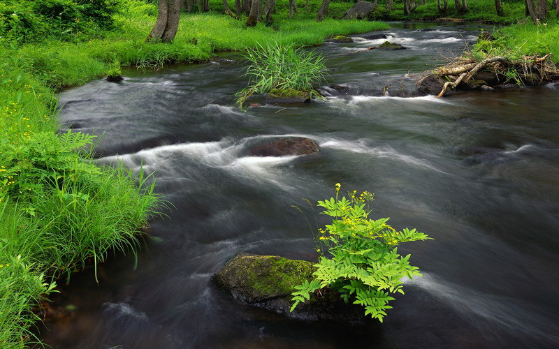 720P, river, across