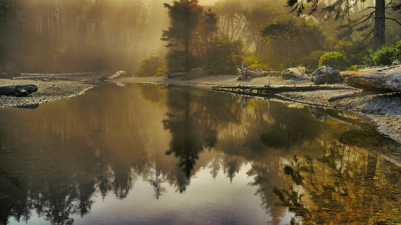 720P, reflection, lake, plant, land, no people, growth, tranquility, across, tree, standing water, woods, idyllic, reflection lake, landscape, outdoors