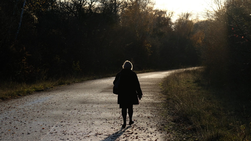 full length, tree, 2K, footpath, real people, direction, sad, women, alsace, evening, old, rear view, transportation, road, lifestyles, walking, diminishing perspective