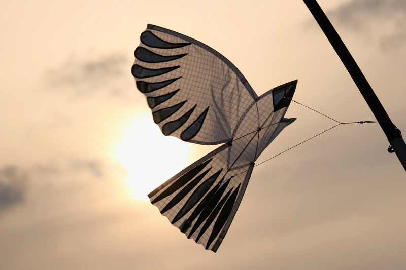 emotion, atmosphere, think, dragon rising, animal wing, on leash, animal themes, flying, windspiel, air, thoughtful, wind, nature, silhouette, cloud - sky