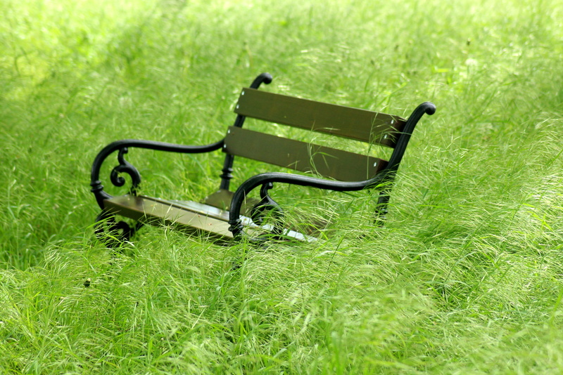 metal, spring, seat, field, wiosennie, absence, selective focus, day, outdoors, empty, glasses, no people, 4K, plant, green, nature, rest, growth, lawn
