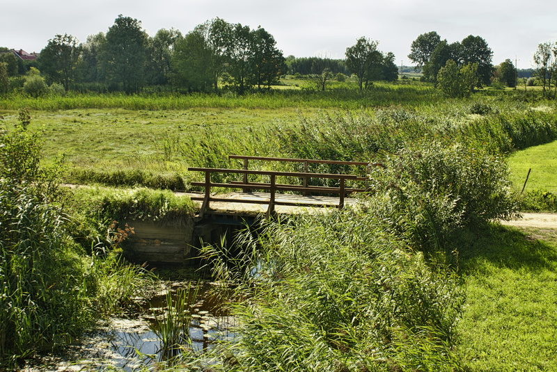 sunlight, bridge, tranquility, meadows, environment, field, landscape, the stage, scenics - nature, plant, podlasie, outdoors, grass, nature, holidays