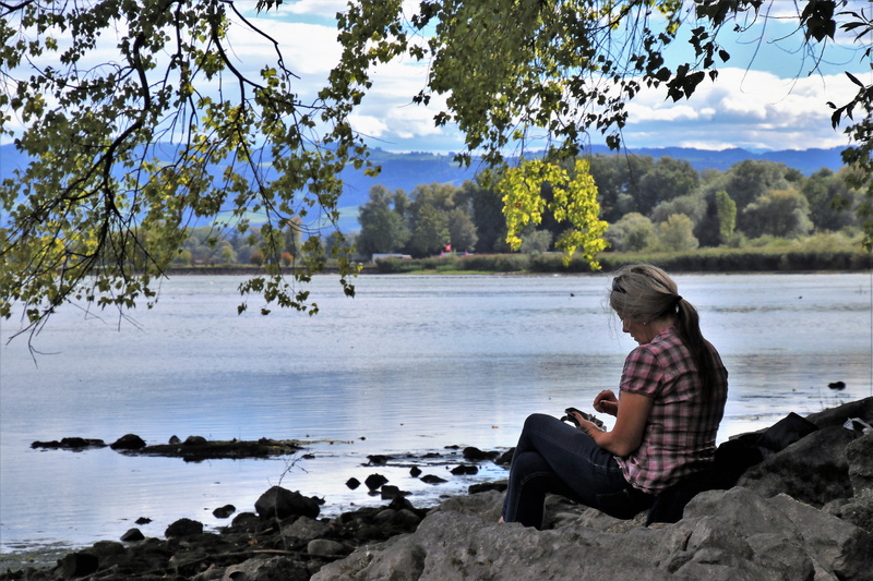 5K, autumn, tranquility, seat, panorama, in the shadows, lonely, sitting, beauty in nature, casual clothing, day, water, sit, quiet, tree, one person