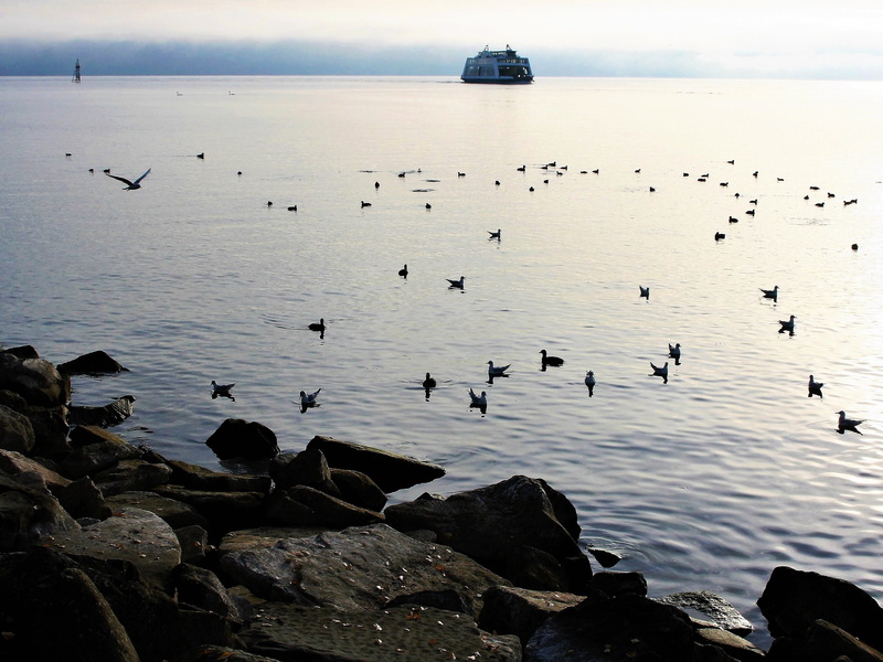 2K, spacer, ferry, morning sun, light, in flight, memory, scenery, rocks stones, rocks, monument, large group of animals, haze, mood, quiet, reflection