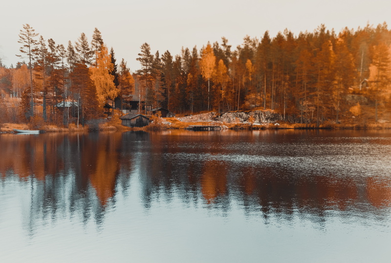 beauty in nature, wind, sky, water, orange color, clouds, day, no people, waterfront, autumn, scenics - nature, tree, color, travel, nature, reflection
