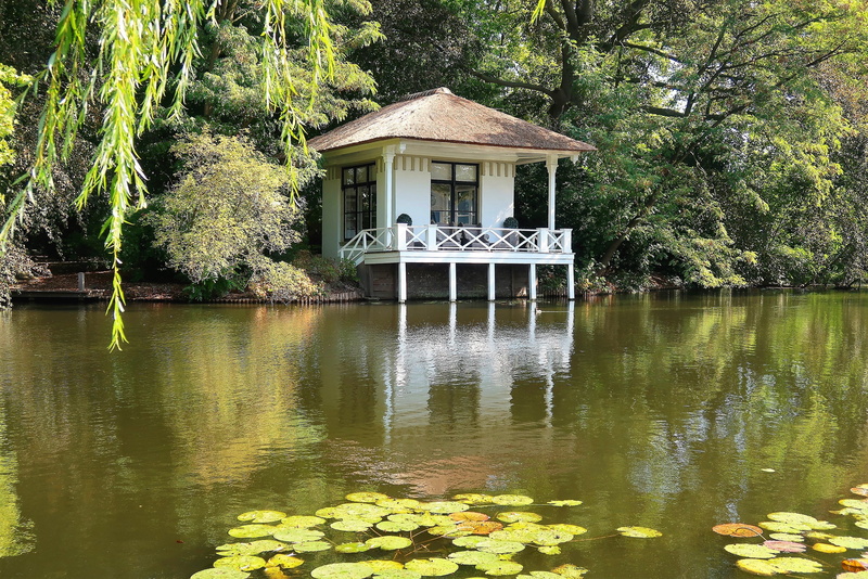 rest, no people, zen, outdoors, holiday, 2K, relax, day, silence, water, tree, lake, teahouse, gazebo, building exterior, mindfulness, architecture, serenity