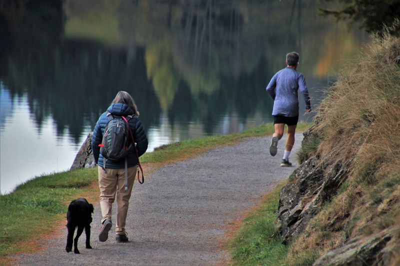 walking, autumn, rear view, men, walk, season, stone, real people, full length, pet owner, alpine, in the fall, running, canine, trail, lake, women, day