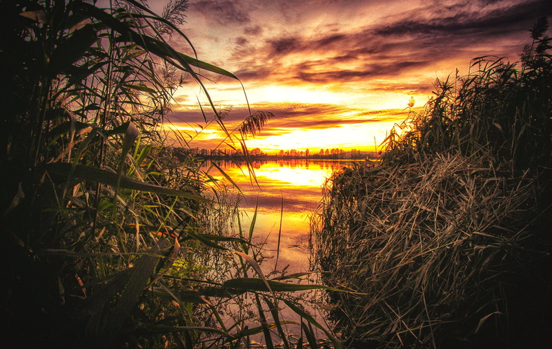 outdoors, red, twilight, water, orange color, quiet, tranquility, beauty in nature, pond, the horizon, landscape, 4K, in the evening, plant, west, clouds