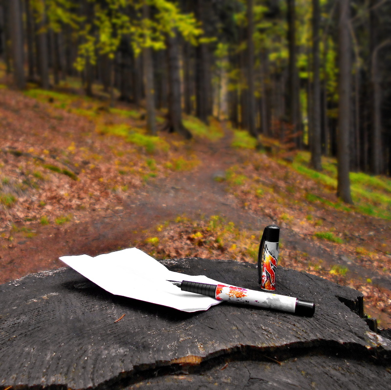 knife - weapon, top, spring, Blog, Pen, mountains, land, no people, day, plant part, morning, trail, the path, mood, steel, nature, autumn, Way, beskids