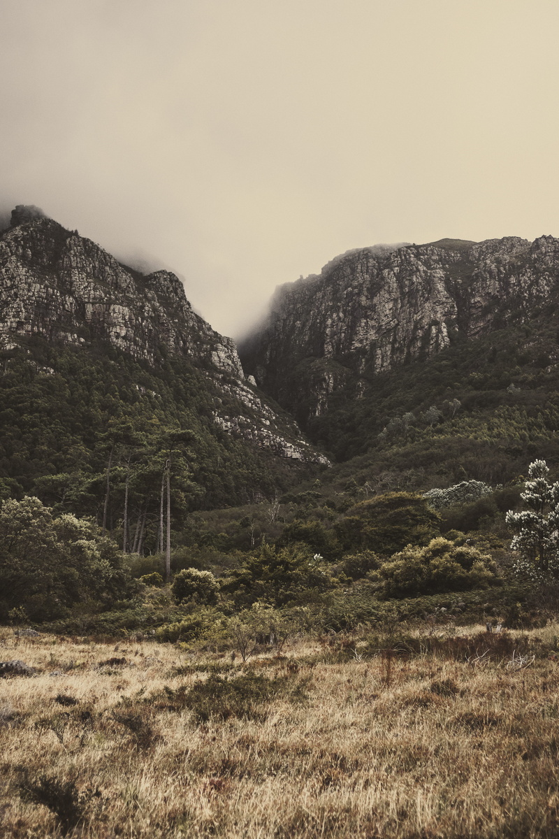 tranquility, rhodes memorial, scenics - nature, 5K, trees, winter, south africa, no people, landscape, plant, environment, idyllic, clear sky, forest
