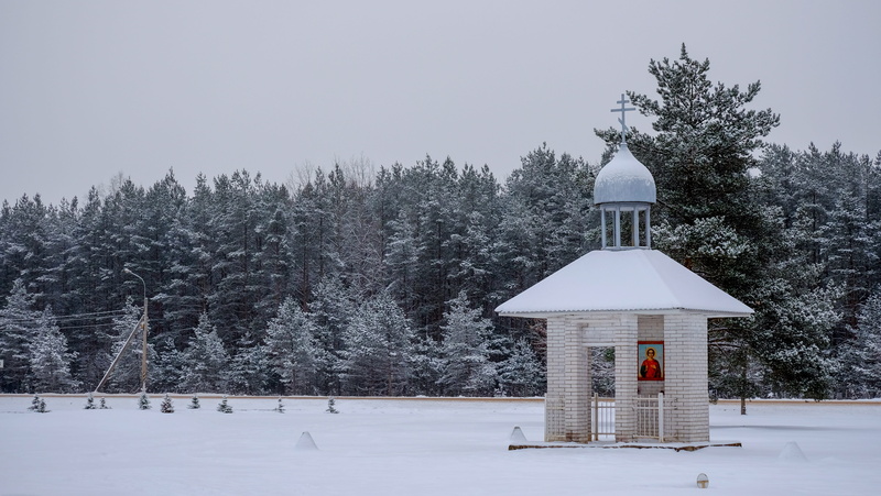 field, tree, day, coldly, chapel, forest, outdoors, wood, white color, 4K, built structure, place of worship, memorial, belief, architecture, nature, sky