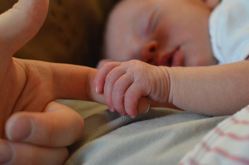 skin, family with one child, holding, close-up, parent, body part, child, fingers, togetherness, daughter, love, little, childhood, human body part, young