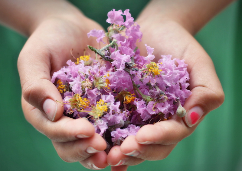 flower arrangement, fun, flower, hand, freshness, beauty in nature, 2K, children, flowers, farm, happiness, rustic, carrying, focus on foreground, cute
