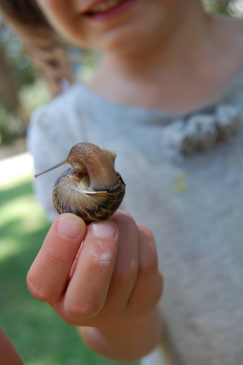 women, holding, insect, snail, lifestyles, little, finger, front view, child, slimy, one person, food, hand, girl, fingers, leisure activity, 2K, focus on foreground