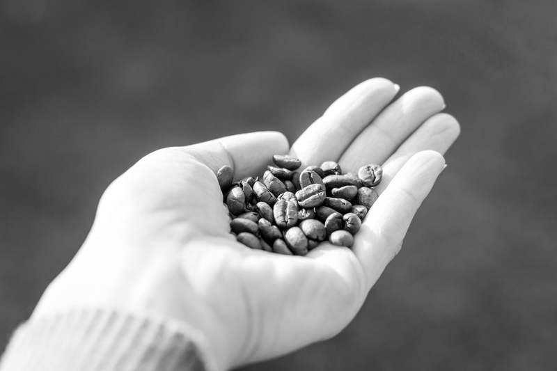 adult, person, coffee beans, fingers, object, nut, day, 5K, aromatic, food and drink, black and white, food, healthcare and medicine, brown, background