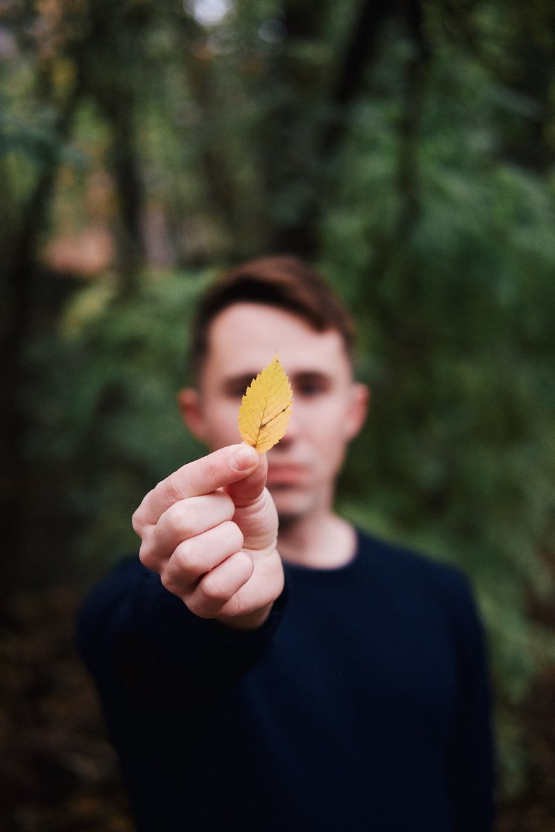 forest, lifestyles, little, man, real people, outdoors, waist up, yellow, casual clothing, leaf, outdoor, green, blur, day, small, person, nature, one person