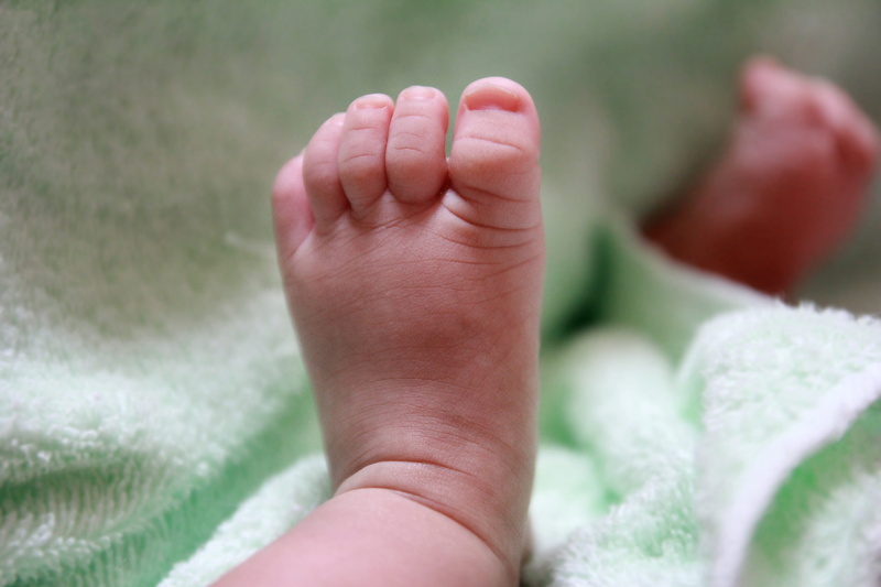 babyhood, human limb, body part, new life, baby foot, bed, young, softness, barefoot, leg, little, human foot, one person, human body part, 5K, selective focus