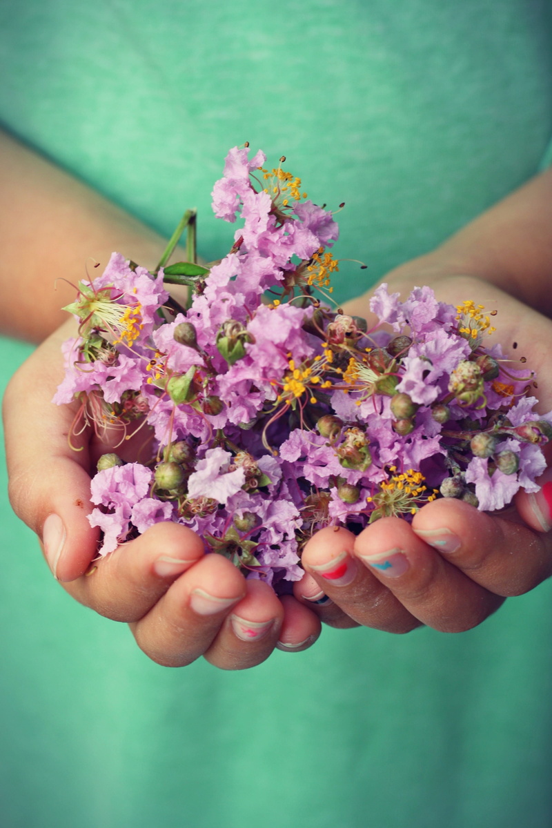 person, friendship, children, hands cupped, one person, flowers, focus on foreground, vulnerability, farm, two hands, two, only women, real people, flowering plant