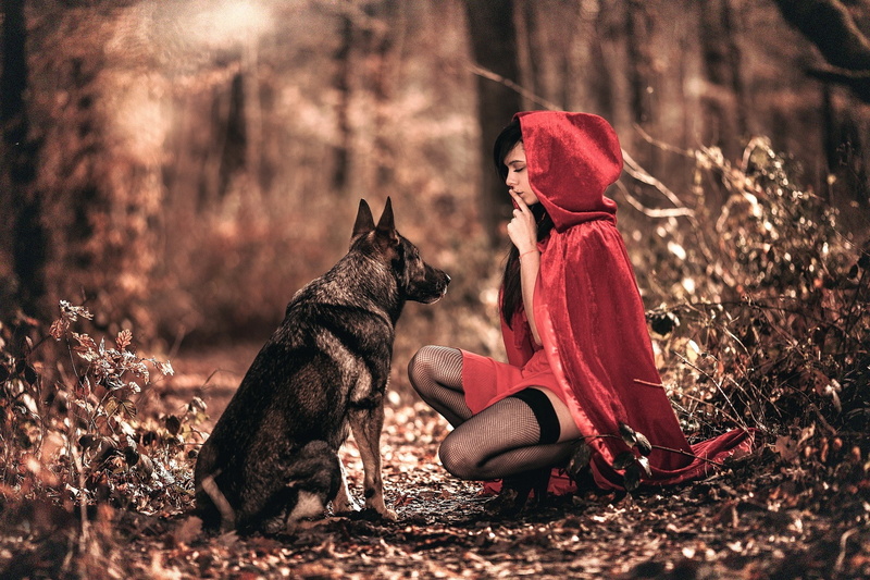 women outdoors little red riding hood finger on lips fantasy art animals fishnet stockings filter, domestic, childhood, mammal, one animal, nature, forest