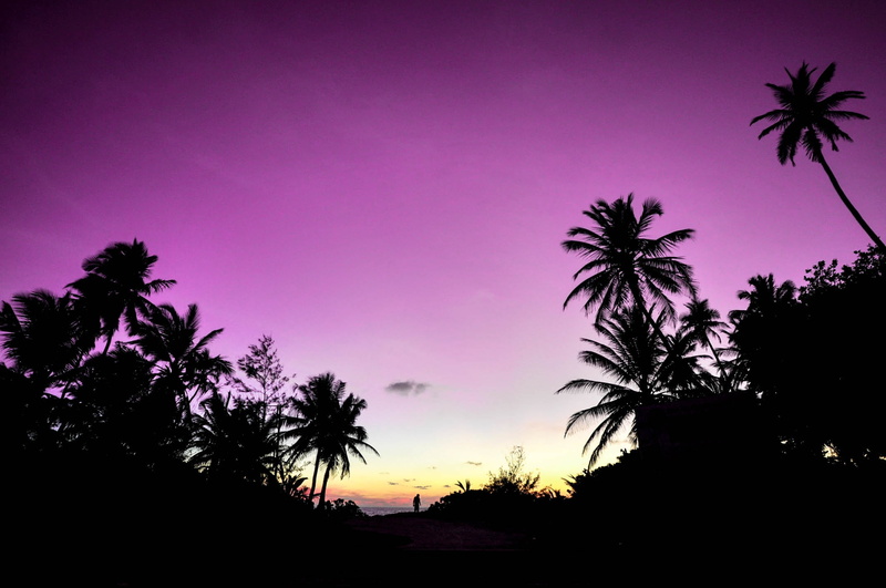 silhouette, photo, tropical tree, romantic sky, tropical climate, couple, plant, idyllic, tranquil scene, 1080P, low angle view, romance, travel, vacation