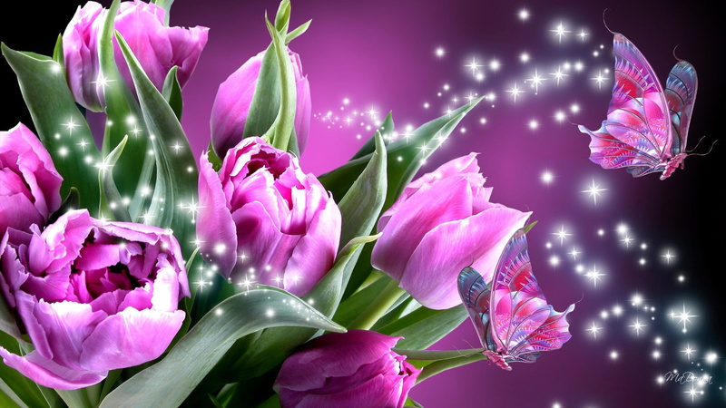 4K, mobile, tulip, flowers, pink, butterfly, hd