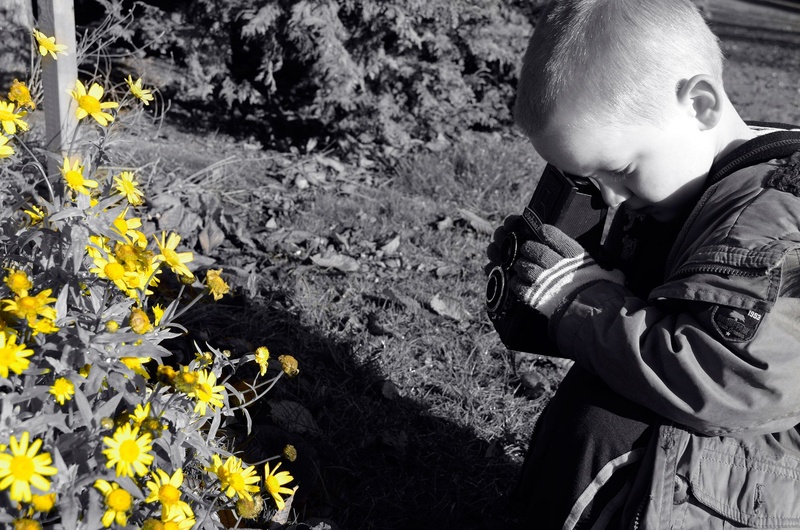boy, selective, plant, book, flowers, standing, camera - photographic equipment, yellow, old, business, little, childhood, real people, photography themes