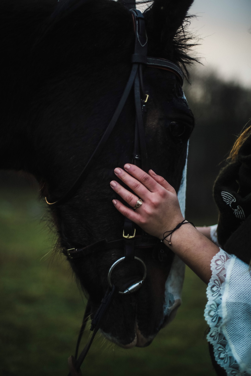 real people, hand, midsection, photography, bridle, human hand, women, l, human body part, kurtaran, outdoors, day, close up, lifestyles, herbivorous, holding