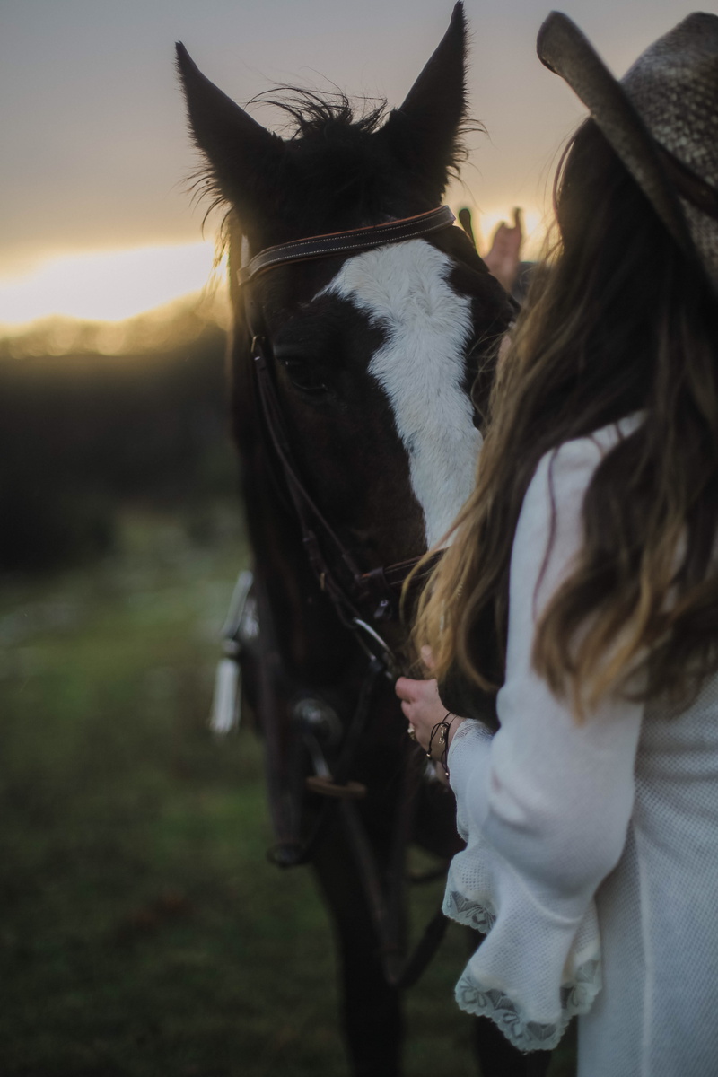 leisure activity, woman, sunset, outdoors, women, black, mammal, l, bridle, one animal, dress, kurtaran, vertebrate, animal wildlife, herbivorous, 5K