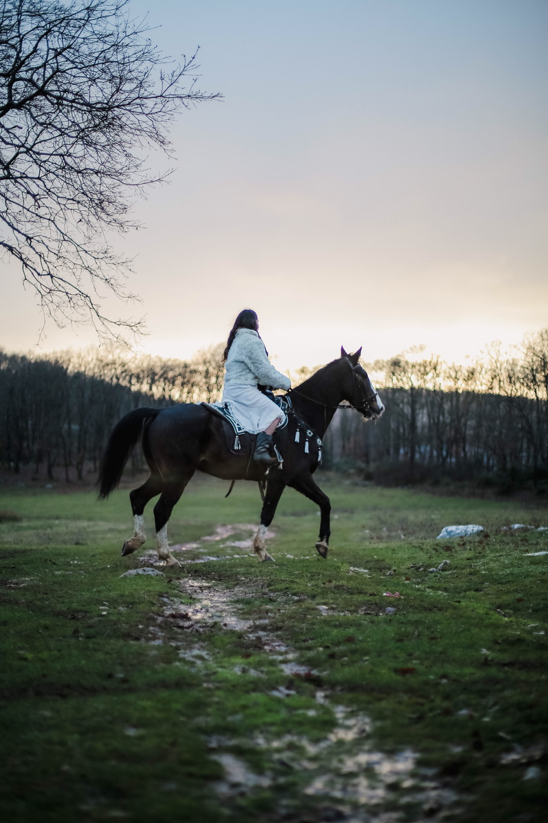 domestic animals, domestic, outdoors, mammal, l, field, tree, herbivorous, leisure activity, bare, woman, vertebrate, plant, near, g, animal themes, pets