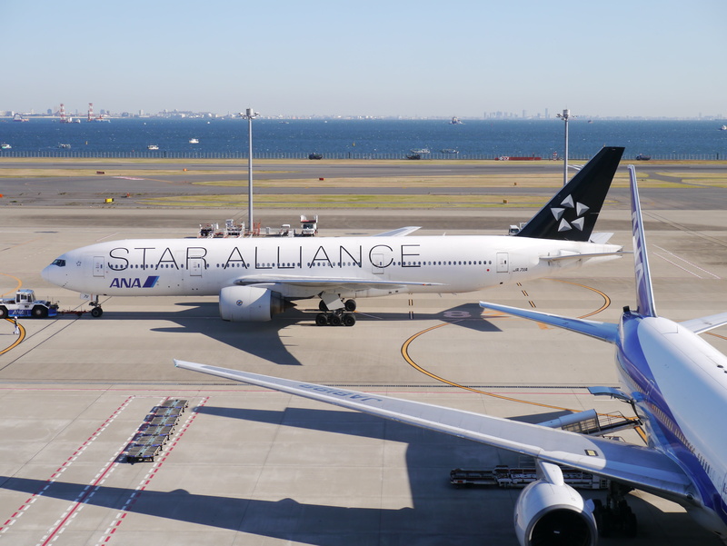 private airplane, 4K, sky, mode of transportation, time, side view, day, aerospace industry, airport, tokyo bay, leaving, sunlight, airport runway, no people