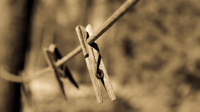wood - material, close, outdoors, wire, stick - plant part, nail, close-up, metal, rusty, brown, string, blur, hand saw, wooden, plant, nature, selective focus