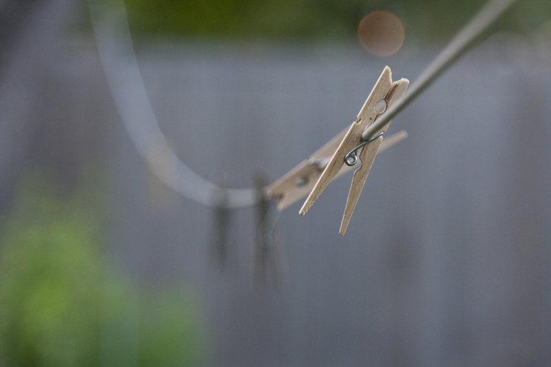 defocused, nature, rope, clothes, clothespin, clothes pin, string, vertebrate, animals in the wild, 4K, focus, pe, winter, photography, brown, clothes line