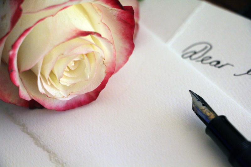 indoors, two objects, freshness, beauty in nature, pale rose, high angle view, letters, plant, flowering plant, writing instrument, Pink Rose, pink color