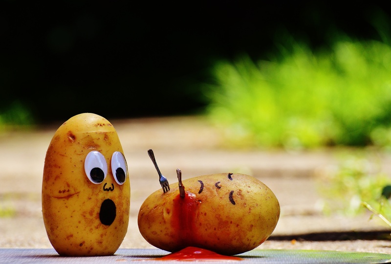 apple - fruit, sunlight, fruit, focus on foreground, single object, outdoors, food and drink, day, fork, nature, fun, anthropomorphic face, kill, close-up