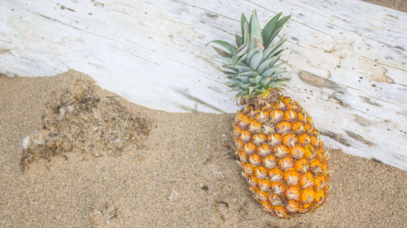 no people, food and drink, close-up, pineapple, nature, tropical fruit, raw food, plant, orange color, outdoors, high angle view, fruit, ripe, agriculture
