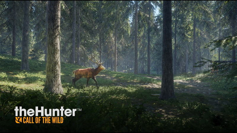video games, 1080P, Murder, the hunter call of the wild, Deer