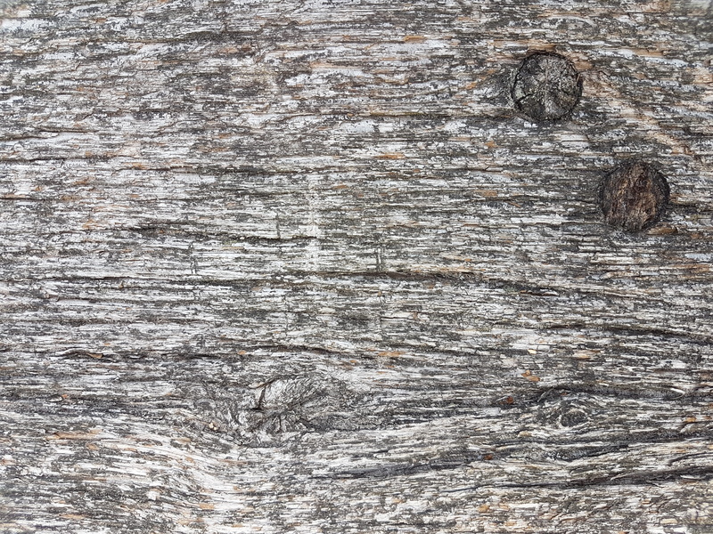 pattern, full frame, textured, no people, germany, detail, day, close-up, tree trunk, outdoors, 4K, wood grain, rough, wood - material, brown, trunk, weathered