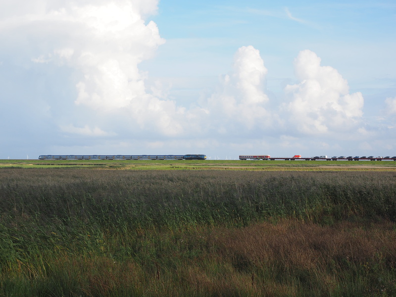 grass, beauty in nature, 4K, rural scene, remote, land, field, sylt, sky, nature, shuttle train, rail traffic, environment, growth, sylter car train, tranquility