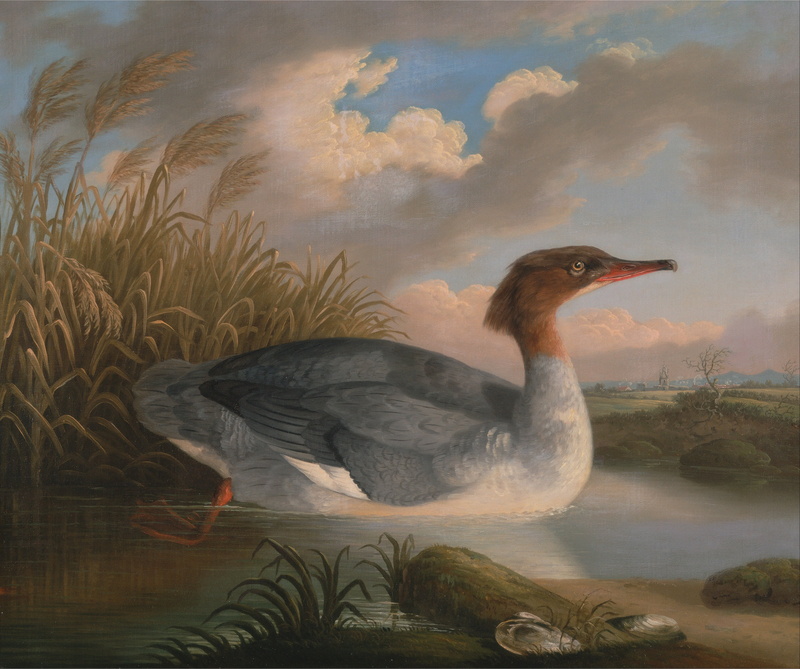 painting, plant, oil on canvas, countryside, water bird, grass, clouds, animal wildlife, swimming, plants, water, reflection, no people, poultry, waterfront