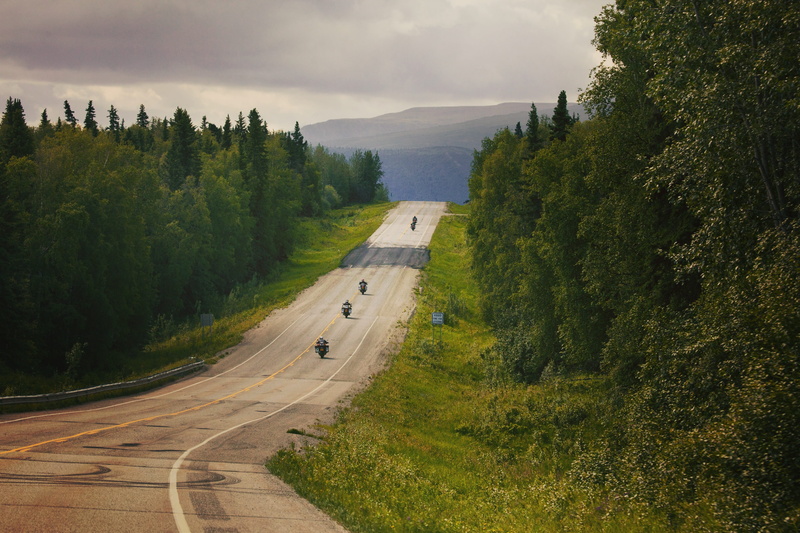fir, sky, direction, tranquility, non-urban scene, highway, tranquil scene, asphalt, pine, tarmac, no people, spruce, road, plant, abies, forest, the way forward