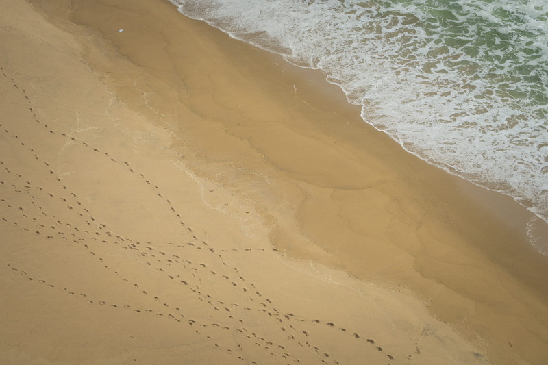2K, tranquility, land, climate, scenics - nature, sand, wave, day, highway 1, sunlight, united states, outdoors, water, high angle view, motion, beach