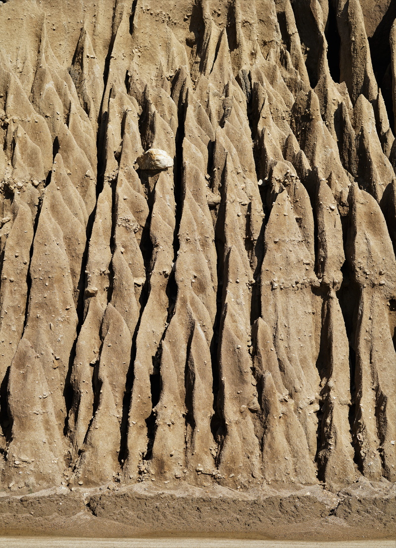 archaeology, land, mud, pacific coast. cal highway 1, flower, solid, scenery, erosion, rock formation, day, cave, crystal, countryside, earth, low angle view