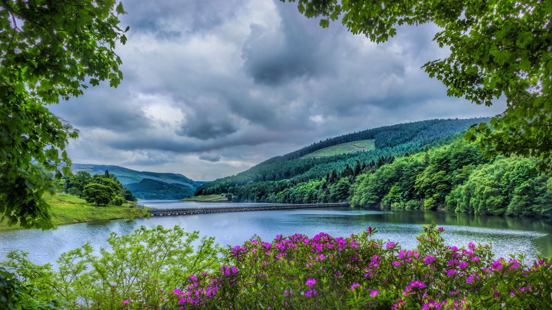 district, flowers, 5K, mountain, pik, mountain range, flowering plant, no people, sky, national, day, nature, purple, mountains, britain, beauty in nature
