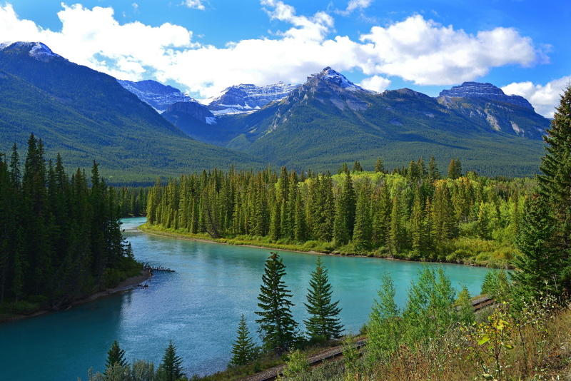 landscape, nature, pine trees, forest, trees, river, 1080P